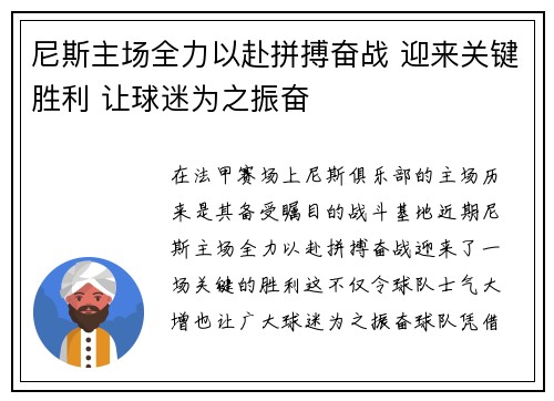 尼斯主场全力以赴拼搏奋战 迎来关键胜利 让球迷为之振奋