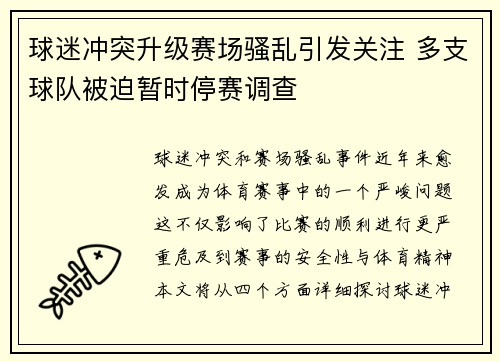 球迷冲突升级赛场骚乱引发关注 多支球队被迫暂时停赛调查